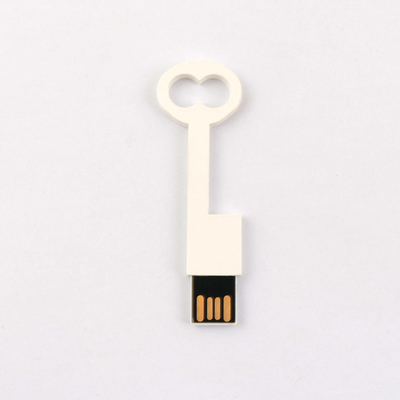 ヨーロッパの標準的なプラスチック キーUSBの抜け目がないドライブ2.0 64GB 128GB 50MB/Sは合わせる