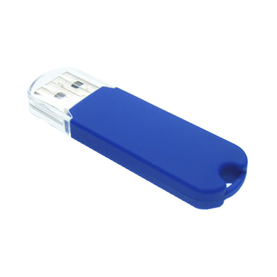FCCは2.0 3.0プラスチックUsb抜け目がないドライブ64GB 128GB 256GBドームのロゴを承認した